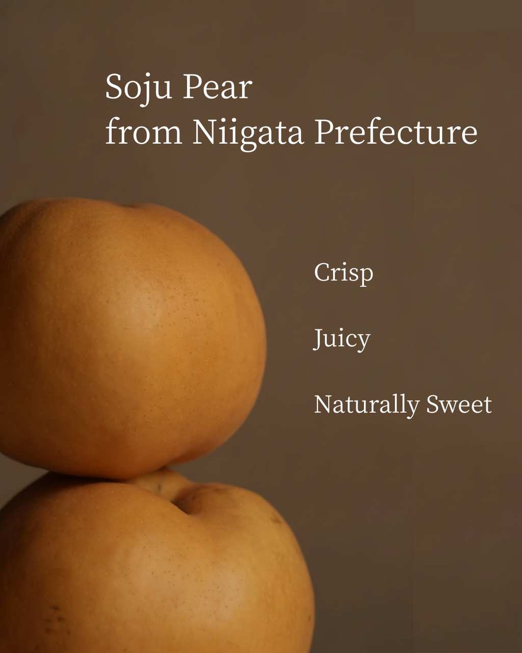 KYO Japanese Pear Gift Box (6 pcs)